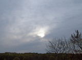 spring sun
