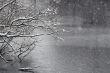 Not grayscale