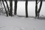 Shoreline