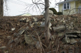 Rock garden