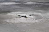 Holey ice