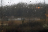 Oh good more rain