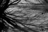 Afternoon shadows