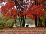 a little place on the lake