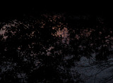 remains of the day