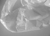plastic bag