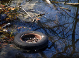 inner-tubes are great for the kids