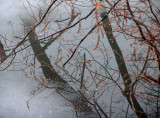 flashback to winter (1)