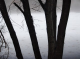 flashback to winter (2)