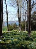 Enclosed Garden