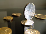 May 8: the Other Side of the Coin