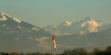 Massif du Mont-Blanc-0018.jpg