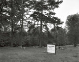 Good Exchange Cemetery, Cass Co., TX.jpg  (19980408)