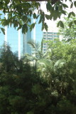 DSC_0244.JPG