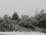 IMG_2732.JPG