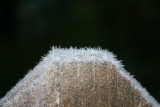 IMG_2400.JPG