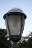 IMG_2412.JPG