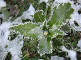 IMG_2757.JPG