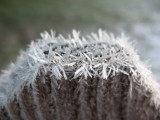 IMG_2759.JPG