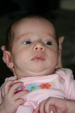 IMG_2006.JPG