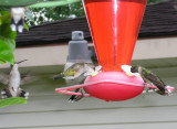 5Hummers.JPG