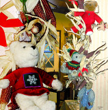 Bears brighten the dried ears of home grown popcorn Jan 4, 2010