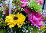 Get Well Flowers from a dear friend Jan 12, 2010 Wow these still look good after three weeks!