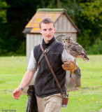 African Spotted Eagle Owl Bubo africanus