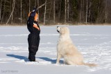 Pàˆàˆsiàˆinen2008-64.jpg