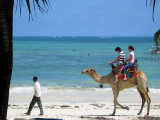 Holiday in Mombasa and Wild Safari in Tsavo