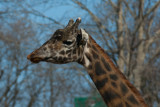 RWPZOO100307-21.jpg
