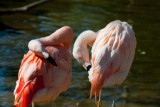 RWPZOO100307-47.jpg