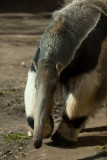 RWPZOO100307-59.jpg