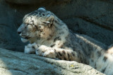RWPZOO100307-73.jpg