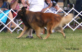 Oneidas Start Me Up6794w.jpg