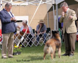Zane Grey of Anduin6933w.jpg