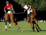 pbase Polo Newport Lost _DSC1166.jpg
