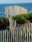 pbase Fence at Bue May 11 2010  1 of 1.jpg