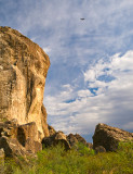 Rock cliff and eagle