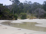 Tidal water, coastal walk, S W National Park, 2010