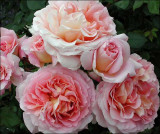 Abraham Darby