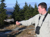 Gray Jay-Mt. Watatic,MA