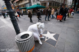 White Man -  Street artist preparing for work....