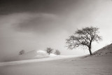 Wintermood II