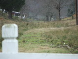 A closeup looking west from Catharpin Rd.