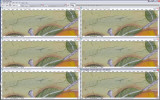 SCREEN_SHOT1D3-Multi_ISO-LR-5-b.jpg