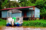 Life On Water, Tortuguero Selva