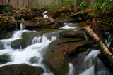 Spring Swiftwater Desert Branch Scene tb0409dhr.jpg