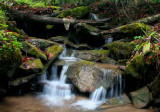 Lil Waterfall in Big Laurel Stream tb0509bor.jpg