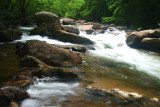 North Fork Spring River Scene tb0509ddx.jpg